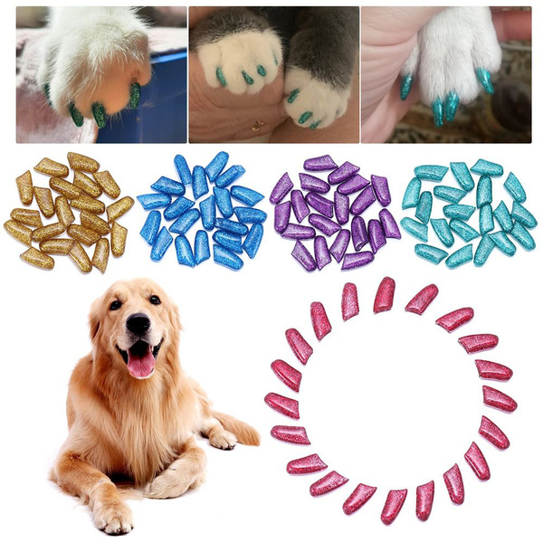 Soft Claws Dog Nail Caps Take Home Kit, X-Large, Natural : Amazon.ca: Pet  Supplies